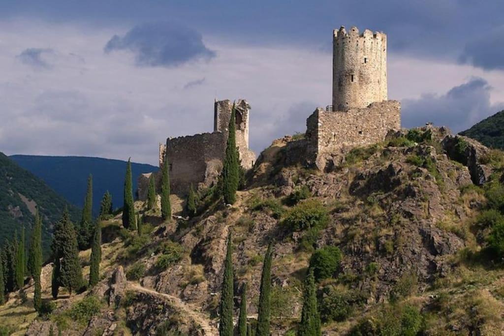 Maison Sur Les Hauteurs De Carcassonne Exterior foto